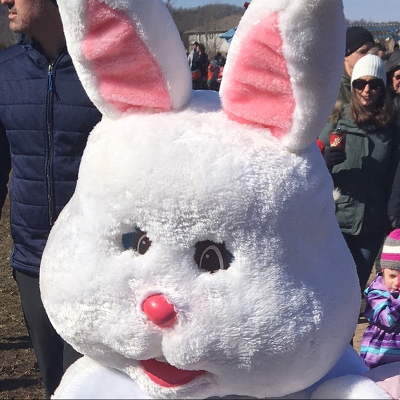 Meet your Posher, Daria - Picture 1 of 1